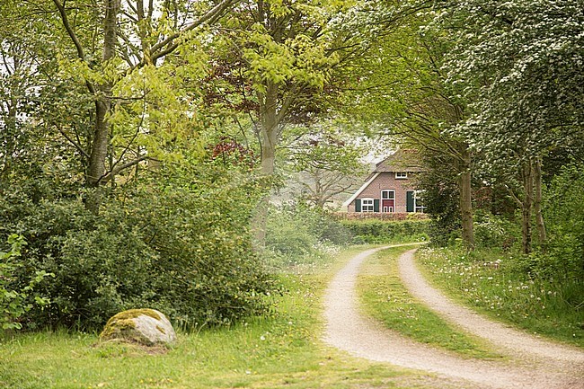 Landscape in Twente, the Netherlands stock-image by Agami/Theo Douma,