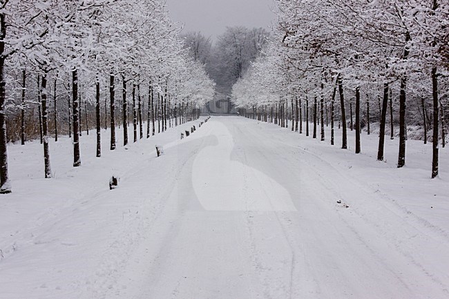 Eerder Achterbroek in de winter; Eerder Achterbroek in winter stock-image by Agami/Theo Douma,