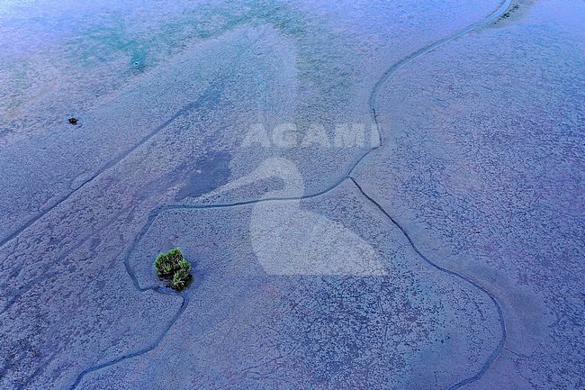 Een graslandpolder is onder invloed gebracht van het rivierwater. Geleidelijk verandert de polder zodoende in wetland. stock-image by Agami/Jacques van der Neut,