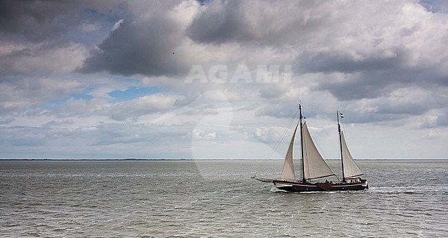 Wadden Sea, Netherlands stock-image by Agami/Bas Haasnoot,