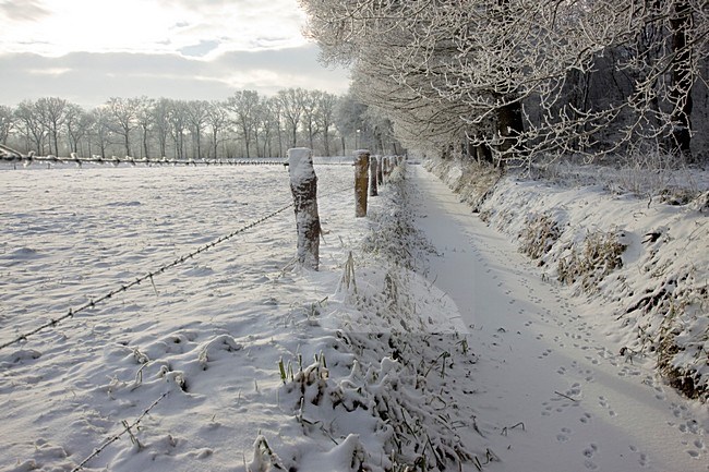 Eerder Achterbroek in de winter; Eerder Achterbroek in winter stock-image by Agami/Theo Douma,