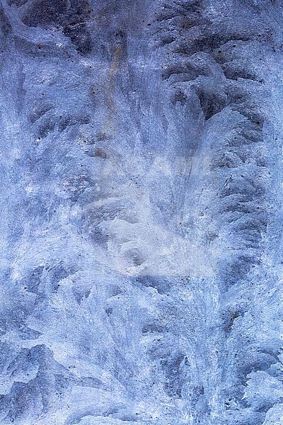 IJskristallen, Ice crystals stock-image by Agami/Wil Leurs,