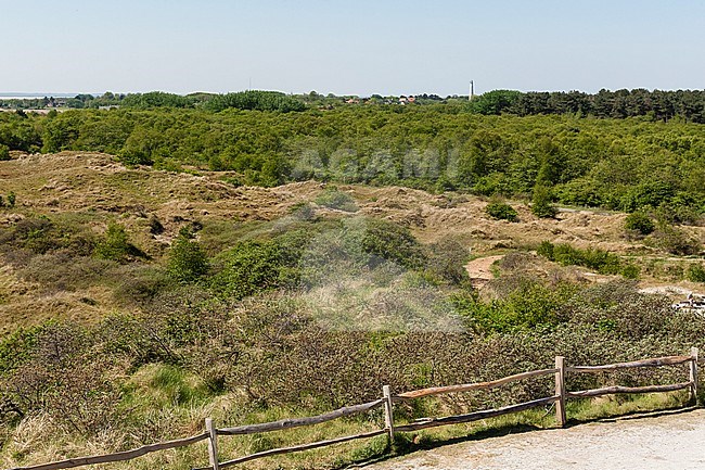 Weids uitzicht over duinen met Waddenzee in achtergrond; Extensive view at dunes with Wadden Sea in background stock-image by Agami/Marc Guyt,