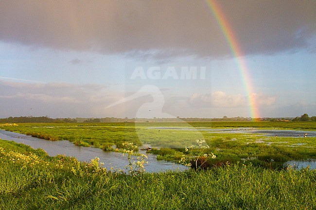  stock-image by Agami/Menno van Duijn,