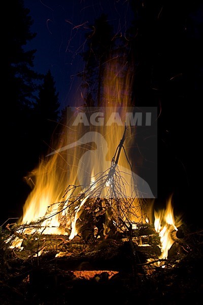 Kampvuur in Pools bos, Bonfire in Polish forest stock-image by Agami/Menno van Duijn,