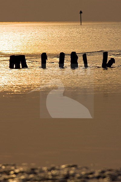 Avond op de Waddenzee; Evening at the Waddensea stock-image by Agami/Theo Douma,