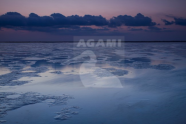 Barr al Hikman, Oman coast stock-image by Agami/Ralph Martin,