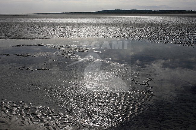 Schiermonnikoog tijdens laag tij. Schiermonnikoog during low tide. stock-image by Agami/Jacques van der Neut,