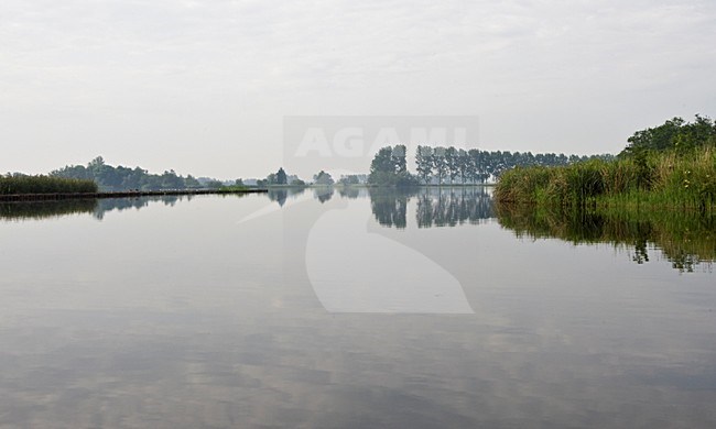 Natuurgebied de Botshol, Nature reserve de Botshol stock-image by Agami/Wil Leurs,