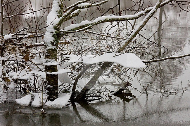 Winter in Beaume Frankrijk; Winter at Beaume France stock-image by Agami/Theo Douma,