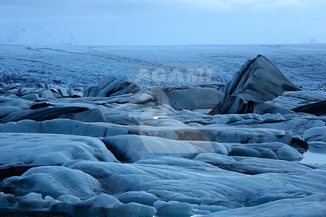 Ijsbergen en avondlicht bij Jokulsarlon; Icebergs and eveninglight at Jokulsarlon stock-image by Agami/Menno van Duijn,