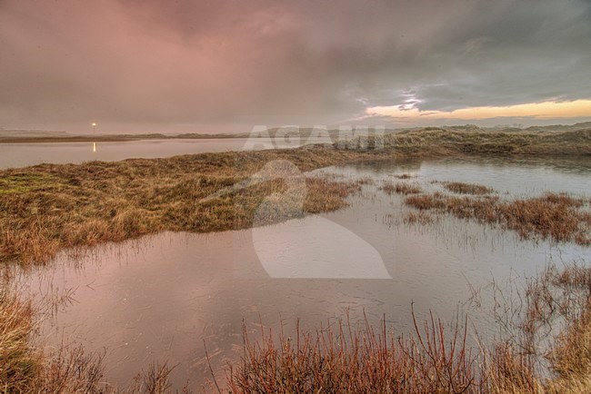 Grafelijkheidsduinen wintertime zonsopkomst, sunrise, Harmplas stock-image by Agami/Rob Riemer,