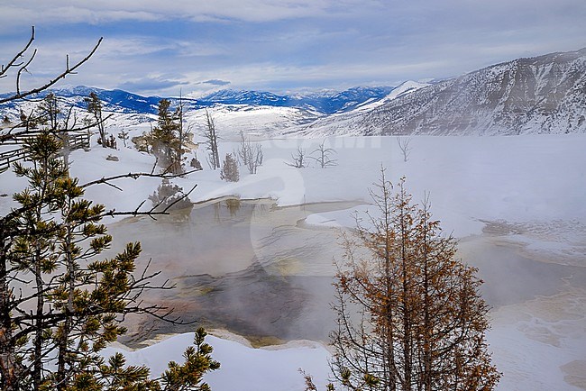 Mammoth Hot Springs Yellowstone stock-image by Agami/Rob Riemer,