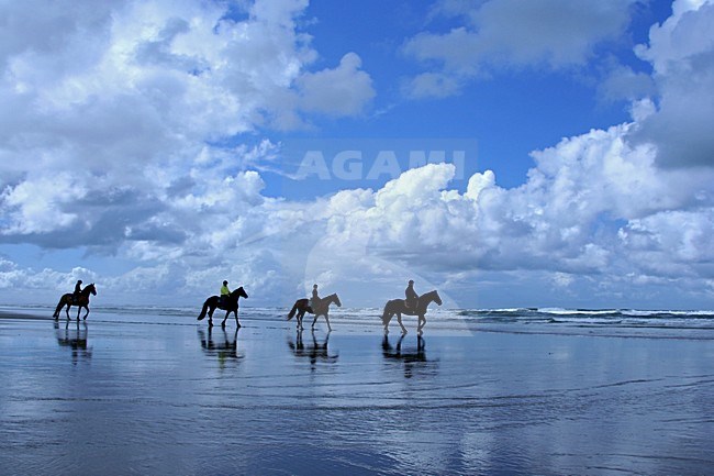 Strand Terschelling, Beach Terschelling stock-image by Agami/Bas Haasnoot,