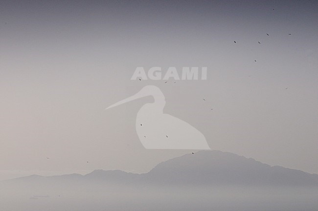  stock-image by Agami/Rob Riemer,