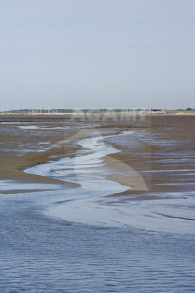 Waddenzee bij Schiermonnikoog; Wadden Sea at Schiermonnikoog stock-image by Agami/Marc Guyt,