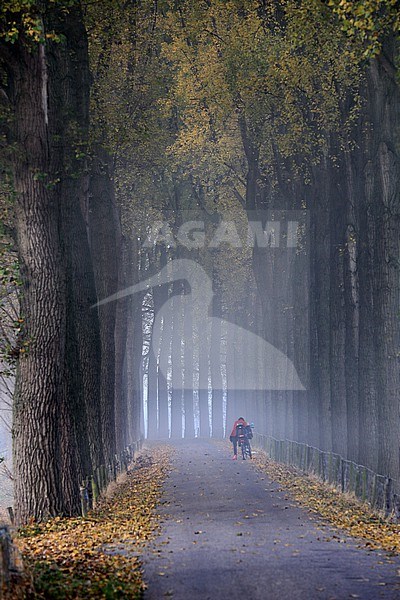 Een moeder brengt met de fiets haar kind naar school. stock-image by Agami/Jacques van der Neut,