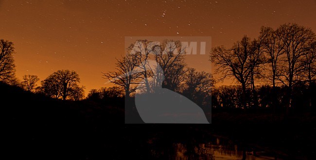 Landgoed Twickel bij zonsondergand; Landgoed Twickel at dusk stock-image by Agami/Han Bouwmeester,