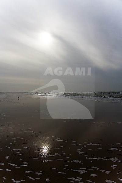 Beach of Katwijk aan zee, Netherlands stock-image by Agami/Bas Haasnoot,