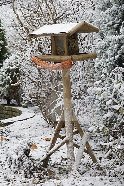 Feeder in garden Netherlands, Voederplank in tuin Nederland stock-image by Agami/Arnold Meijer,