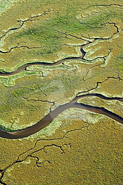 Luchtfoto van Schiermonnikoog, Oosterkwelder; Aerial photo of Schiermonnikoog, Oosterkwelder stock-image by Agami/Marc Guyt,