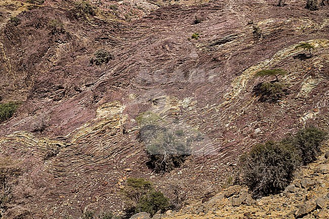 Landscape Jabal Shams, Oman stock-image by Agami/Ralph Martin,