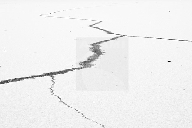 Scheuren in ijsvlakte, Cracks in icefield stock-image by Agami/Rob de Jong,