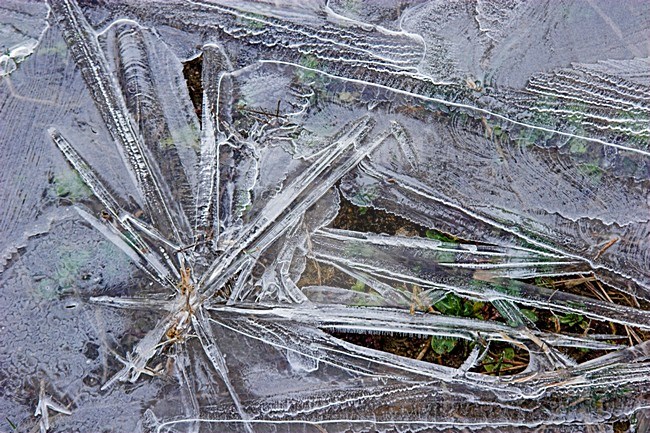 ijsvorming; ice stock-image by Agami/Menno van Duijn,