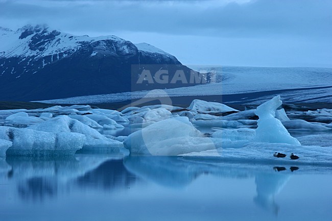 Ijsbergen en avondlicht bij Jokulsarlon; Icebergs and eveninglight at Jokulsarlon stock-image by Agami/Menno van Duijn,