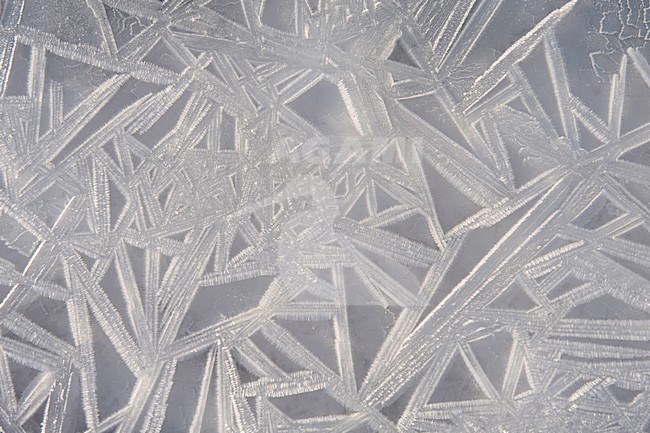 ijs in allerlei vormen; ice in different forms stock-image by Agami/Han Bouwmeester,