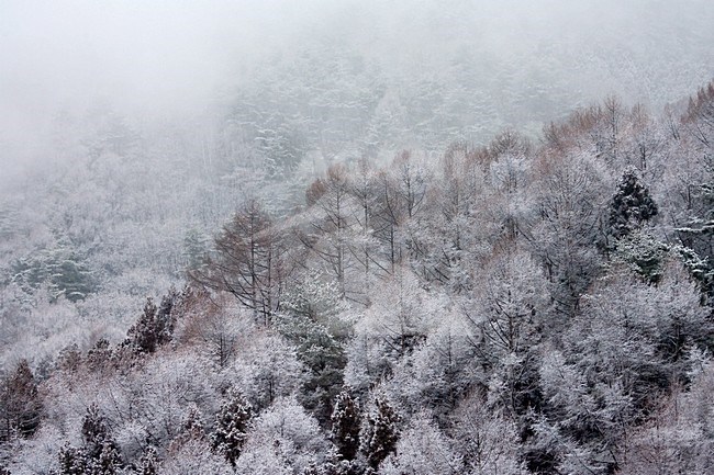 Yudanaka, Japan, in de winter; Yudanaka, Japan, in winter stock-image by Agami/Marc Guyt,