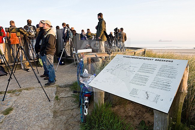 Groep vogelaars staand op trektelpost; Group of birdwatchers standing at migration watchpoint stock-image by Agami/Marc Guyt,