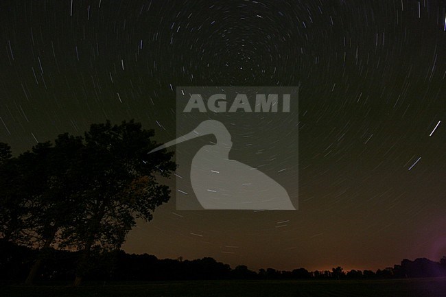 Avond in de Oderdelta; Nightfall at Oderdelta stock-image by Agami/Menno van Duijn,