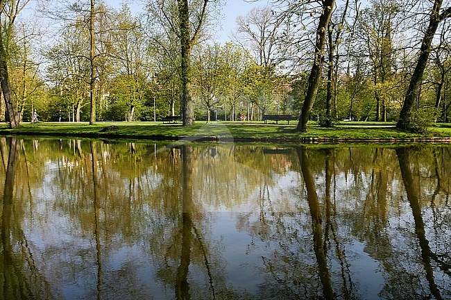 Park in Amsterdam in het voorjaar; Park in Amsterdam in spring stock-image by Agami/Marc Guyt,