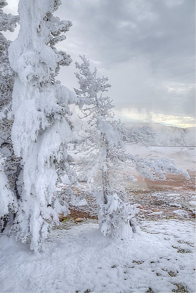 Yellowstone Nationaal Park; stock-image by Agami/Rob Riemer,