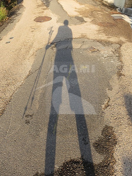 Shadow of pilgrim on the GR 65, Via Podiensis, also know as Le Puy Route, in southern France. French part of the Camino de Santiago. stock-image by Agami/Marc Guyt,