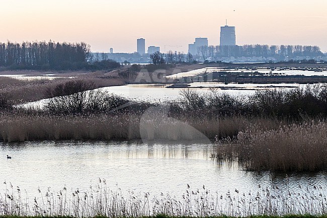  stock-image by Agami/Menno van Duijn,