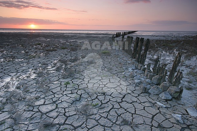 Waddenzee, Wadden Sea stock-image by Agami/Menno van Duijn,