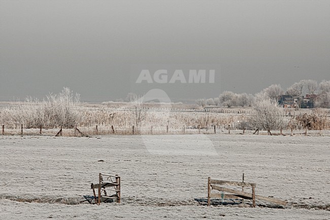 Berijpt landschap Nederland, Landscape covered with hoar-frost Netherlands stock-image by Agami/Wil Leurs,