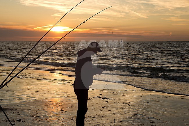 Sportvissen aan het strand, sport fishing at the coast stock-image by Agami/Theo Douma,