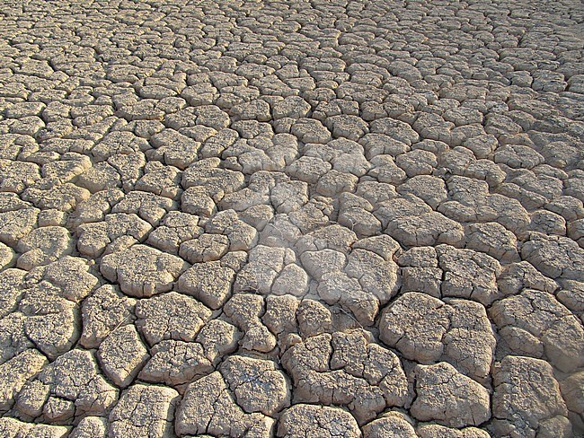 Uitgedroogde wadi in Israel; Dried-out wadi in Israel stock-image by Agami/Marc Guyt,