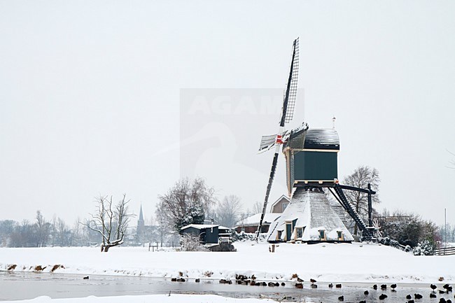 Windmolen in de sneeuw; wind mill in the snow stock-image by Agami/Walter Soestbergen,