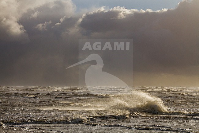 Sunset over storm north sea with big waves and breaking surf stock-image by Agami/Menno van Duijn,