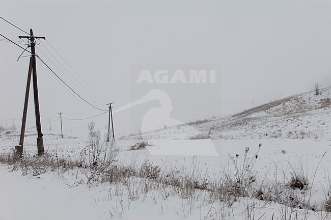 Winters landschap, Winter landscape stock-image by Agami/Rob de Jong,