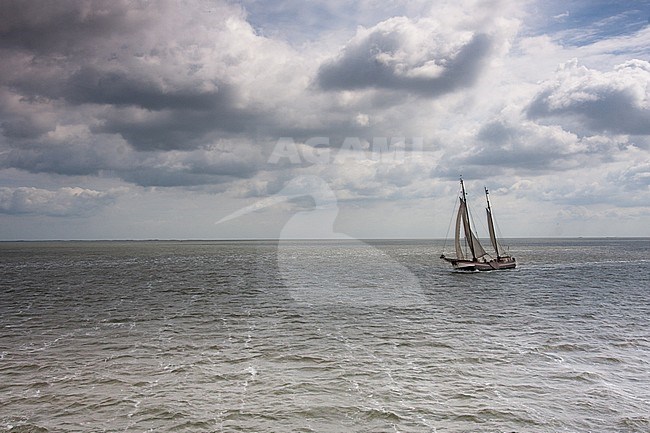 Wadden Sea, Netherlands stock-image by Agami/Bas Haasnoot,