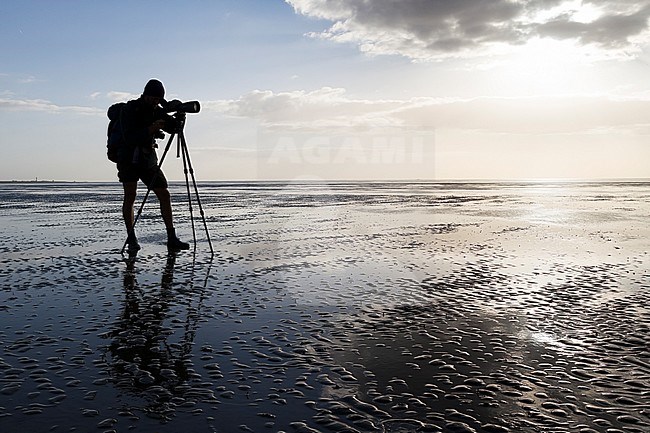 Birdwatcher counting birds in the Wadden Sea, Germany. stock-image by Agami/Ralph Martin,