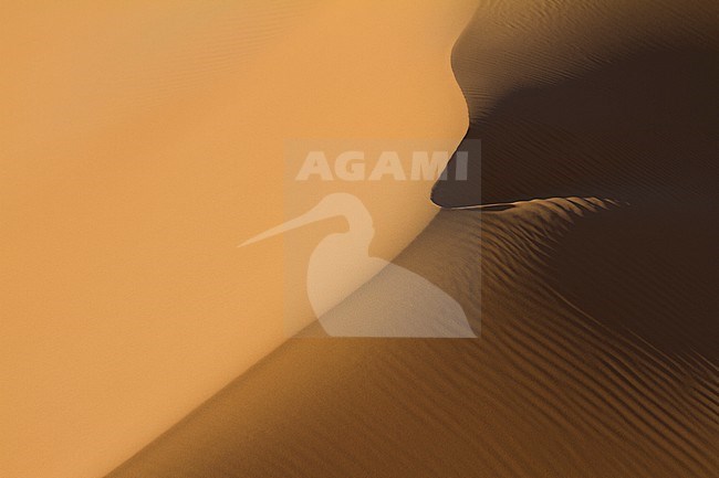 Landscape of central desert of Oman stock-image by Agami/Ralph Martin,