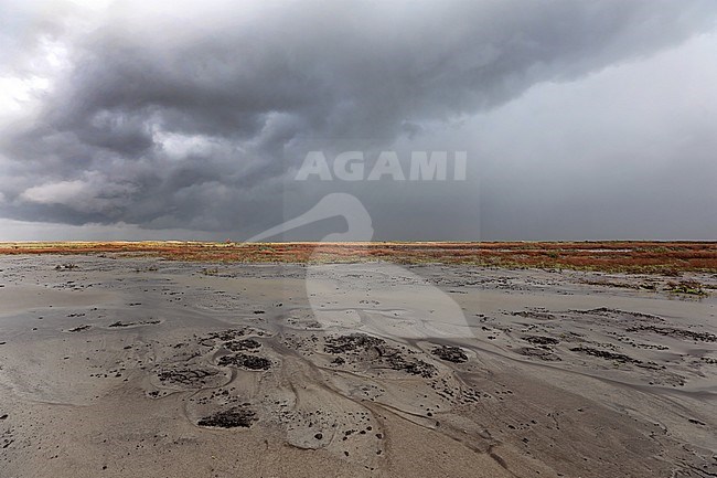 Landscape the Markerwadden after rain stock-image by Agami/Jacques van der Neut,