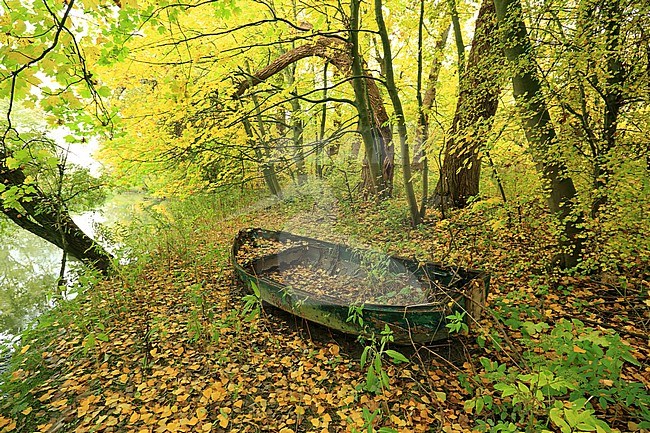 Een buiten gebruik geraakt bootje wordt overwoekerd. Het bootje wordt daardoor landrot. stock-image by Agami/Jacques van der Neut,