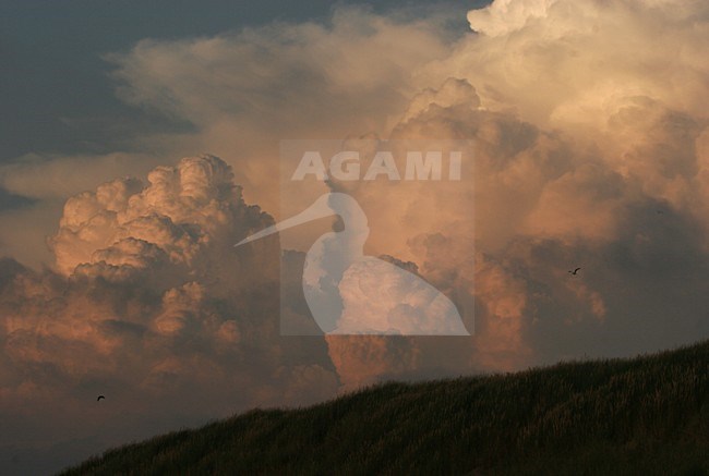 Wolken bij avondlicht; Clouds in evening light stock-image by Agami/Menno van Duijn,